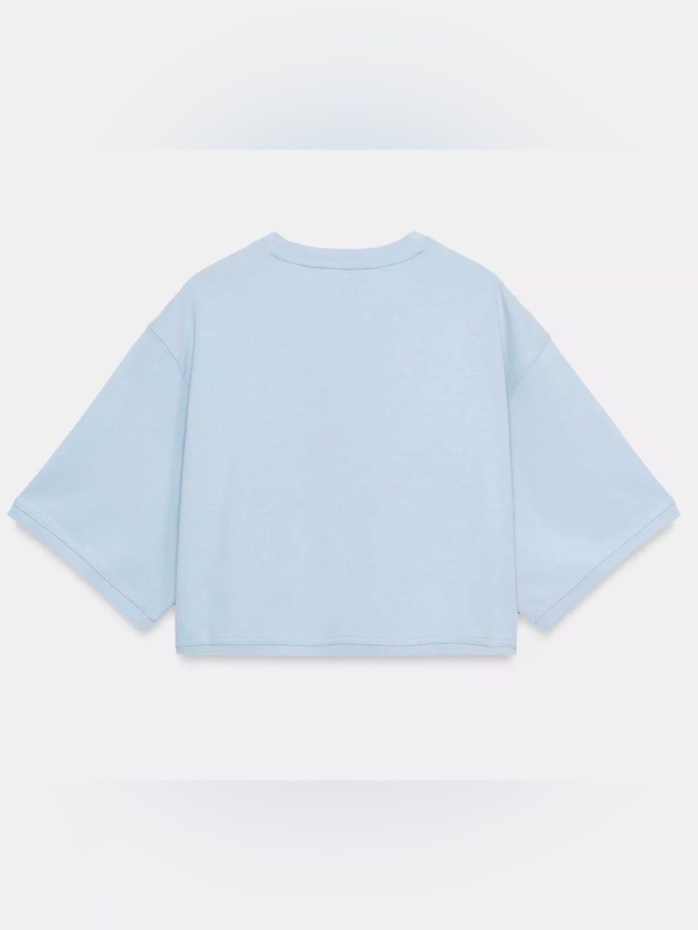 Zara Light Blue Cropped Boxy Tee